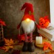 CHRISTMAS GLOWING RETRACTABLE GNOME